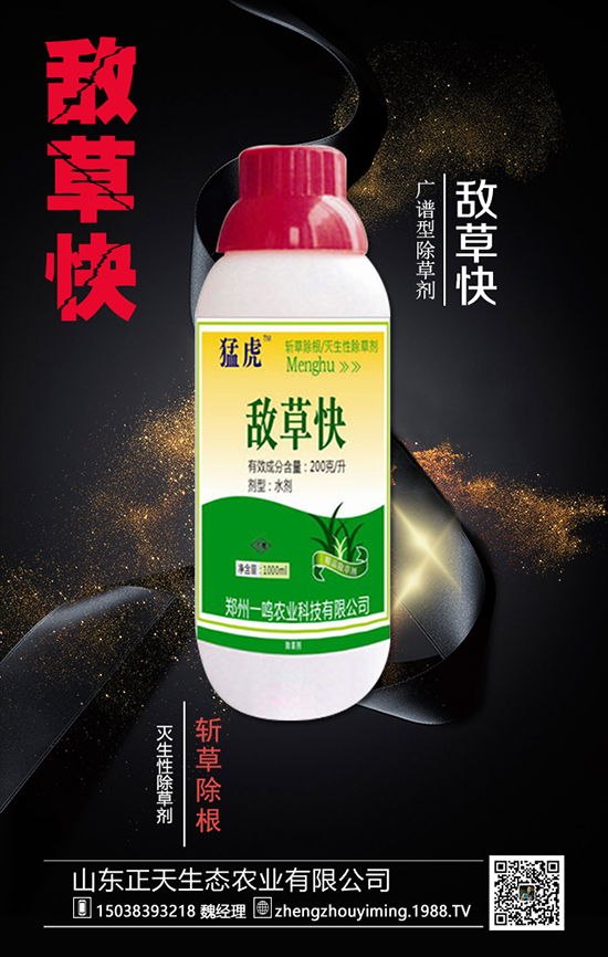 ɽ�|�������B(t��i)�r(n��ng)�I(y��)���޹�˾2