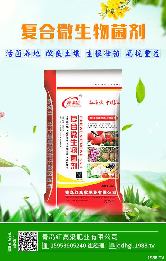     一銨價格低迷！2019年11月18日今日磷酸一銨價格行情走勢分析