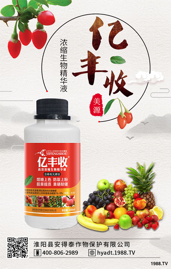 西柚什么時(shí)候種植？西柚高產(chǎn)種植技巧！