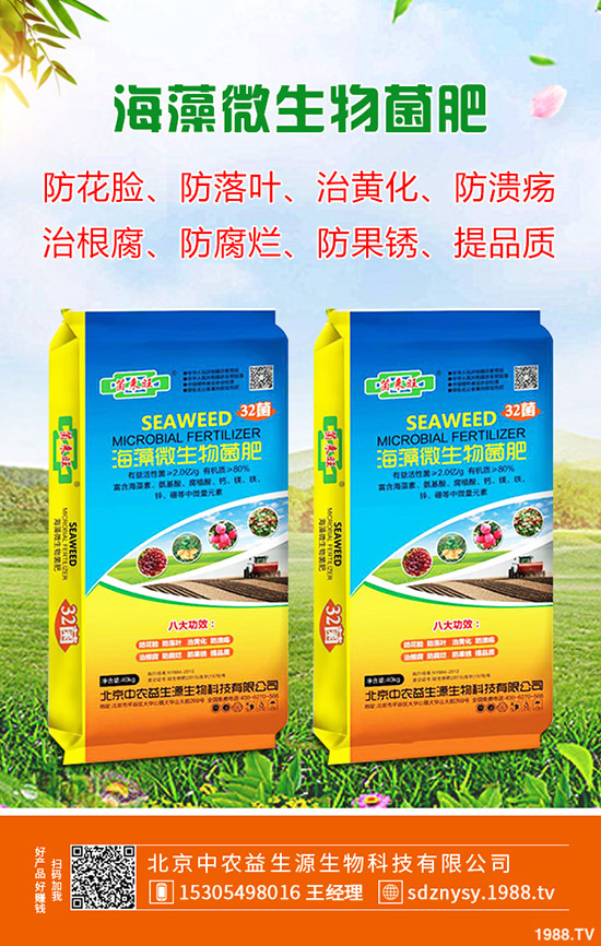 復合肥行情疲軟!2019年11月復合肥價格走勢綜合評測!