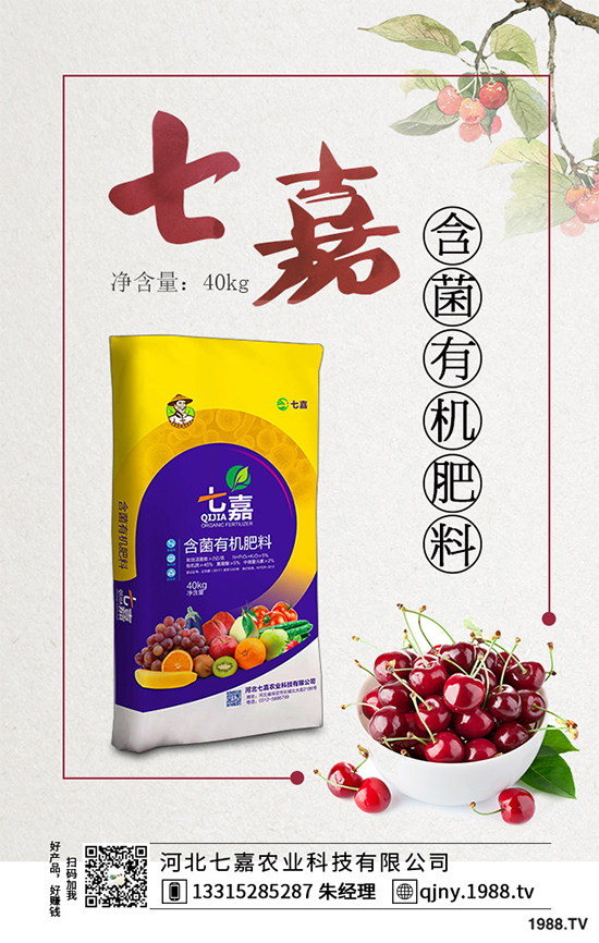 11�·��r(n��ng)�°�������Щ��2019�ﶬ�߲˷Nֲָ��