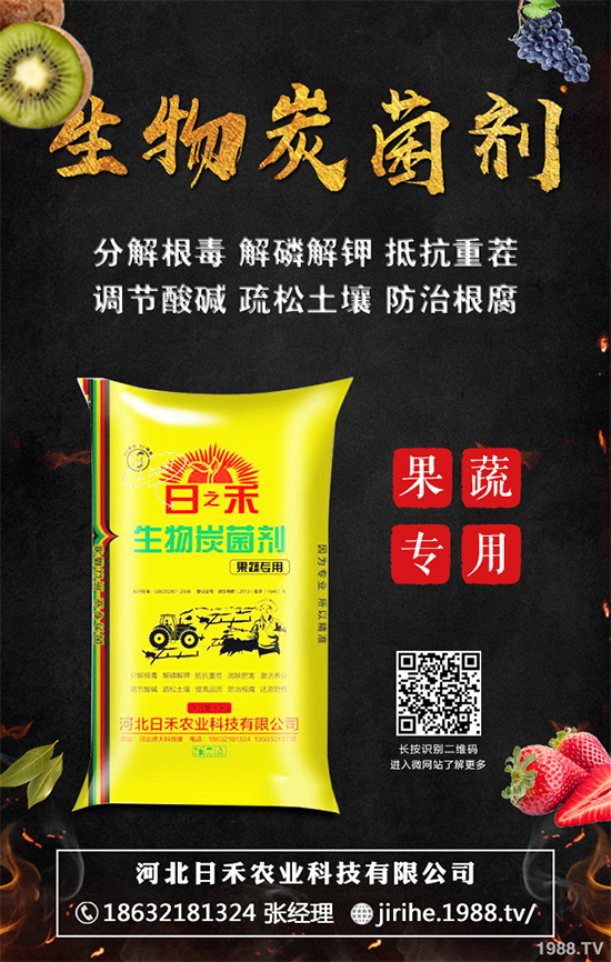 ���[��ֲ�������ˆ������[��ֲ����ֲ���������