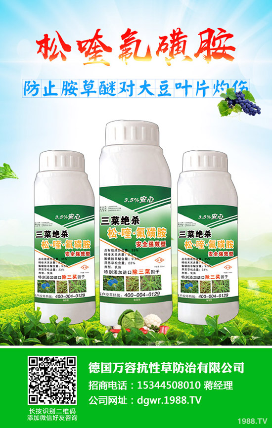 黃豆什么時(shí)間種植，黃豆的種植方法有哪些？