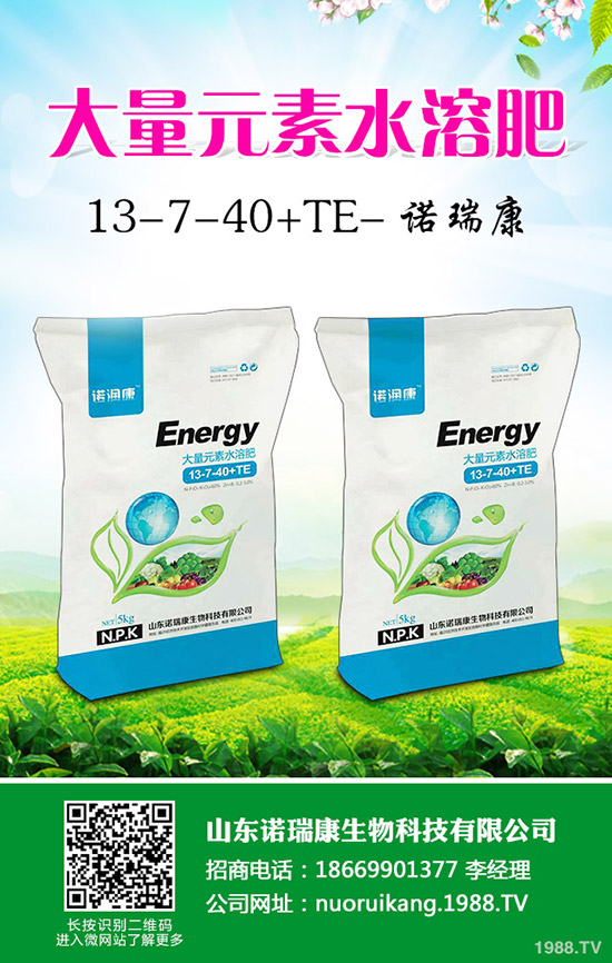 2020年大蒜價(jià)格行情怎么樣？賺錢不？種植面積會(huì)增大么？