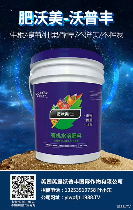 ��������ֲ��Ƥ�Ɇ�����Ƥ�ɶ�����ֲ����