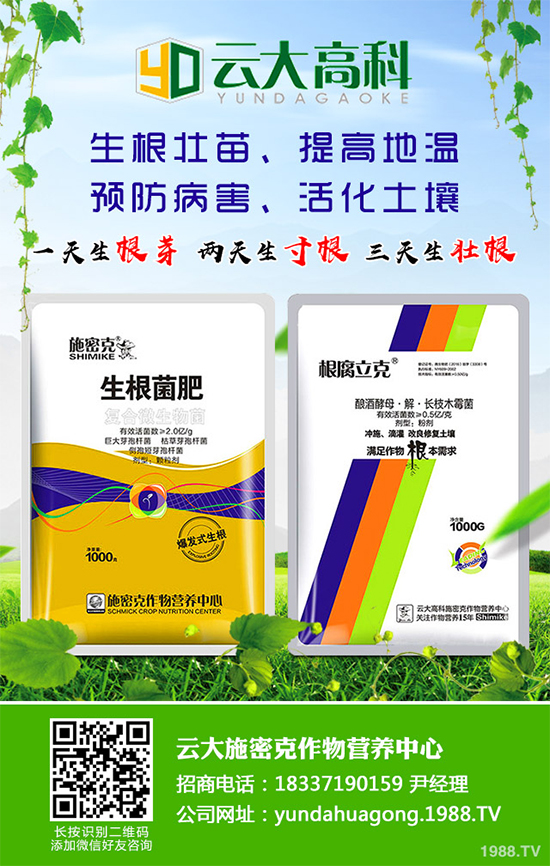 ��������ֲ��Ƥ�Ɇ�����Ƥ�ɶ�����ֲ����