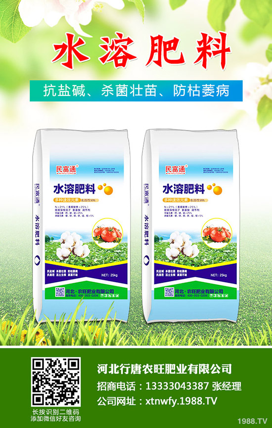 苦瓜得了白粉病怎么辦，苦瓜白粉病綜合防治