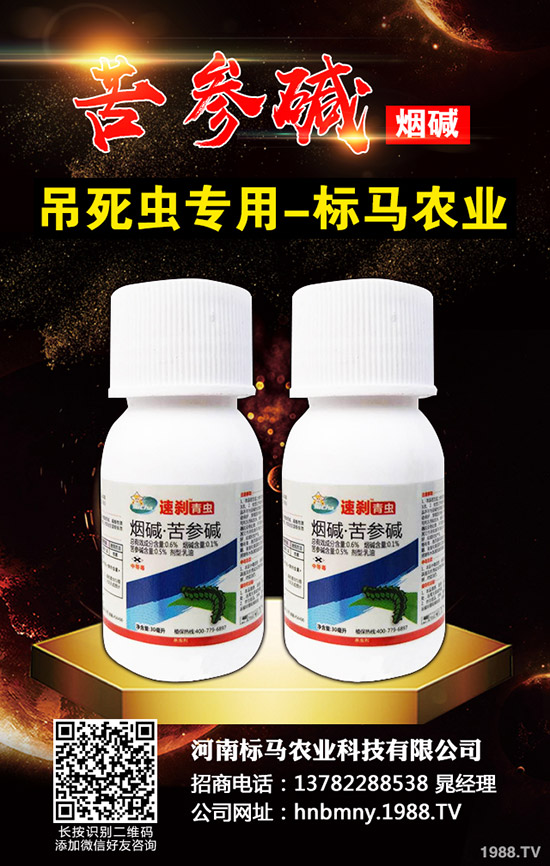 �������x��Σ���Y��l(f��)���l������������Щ���η�����