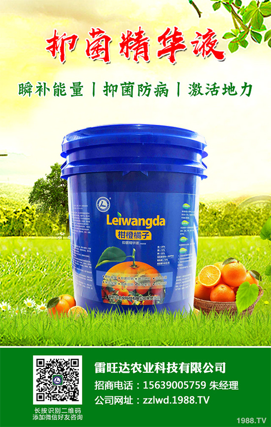 長(zhǎng)期低溫寡照，蔬菜長(zhǎng)勢(shì)差該如何解決？冬季大棚補(bǔ)光的幾項(xiàng)措施