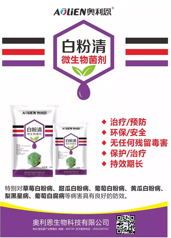 �׷۲�������(f��)�y�p���� ӛס�@��(g��)ˎ����Ч���ΰ׷۲����P����