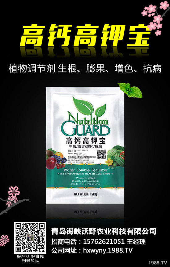 С�����s��ʲô�r(sh��)����θ�����С���s�ݽ�Q������