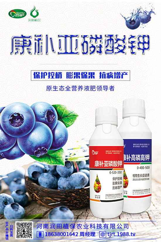 ���콷ʲô���N�����콷�ķNֲ���������x(ch��ng)������