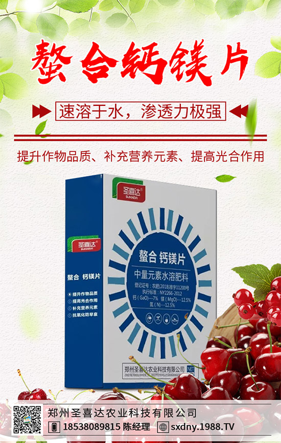 ���E��ʲô�@ô���˚gӭ�����E���Ј��������