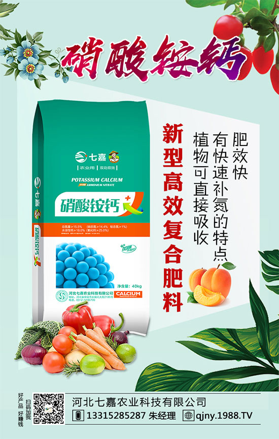 2020年茶籽價(jià)格多少錢一斤?油茶樹種植前景如何?(附種植技術(shù))