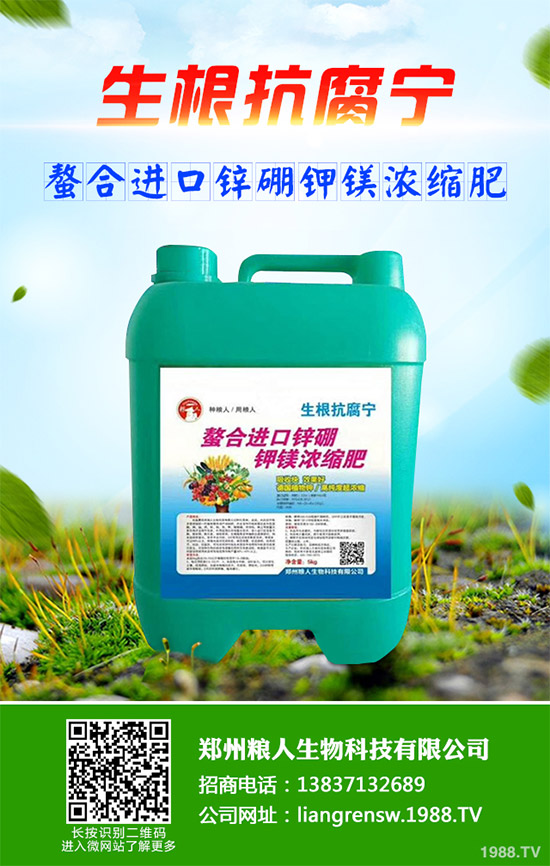 ���E����Щ�I�B(y��ng)�rֵ�����E�ĠI�B(y��ng)�rֵ����Ч����