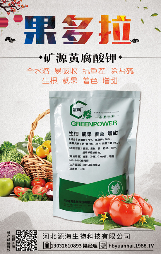 大蒜今日價(jià)格多少錢一斤？2020年大蒜種植前景如何？