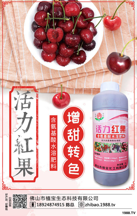 豆角歇伏什么原因?如何應(yīng)對(duì)豆角歇伏?