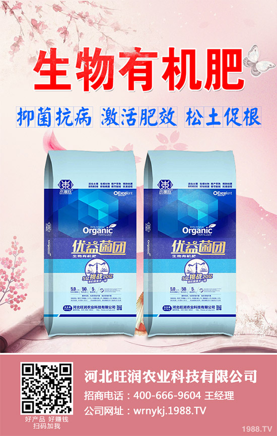 ����²�ԓ��ô�N����������²˷Nֲ���g(sh��)Ҫ�c(di��n)