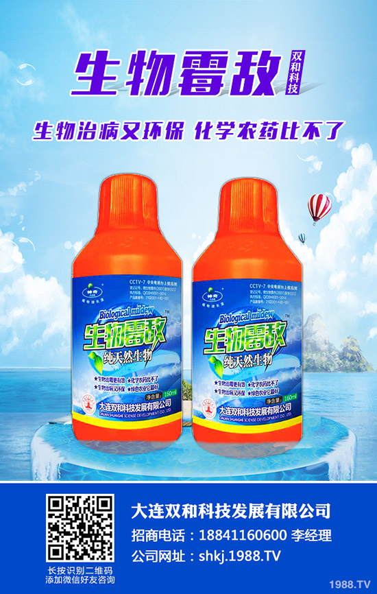 平菇種植其實不難，注意這幾點，產(chǎn)量會很高！