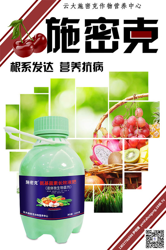 MBI公布全新種子處理技術大田試驗結果:兼具產(chǎn)量和成本優(yōu)勢