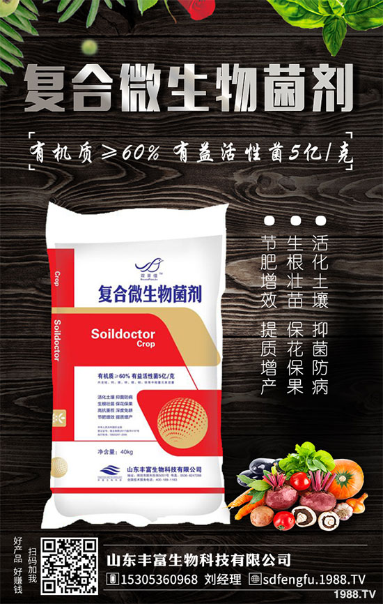 �P����������خa(ch��n)��2020��Nֲǰ�������