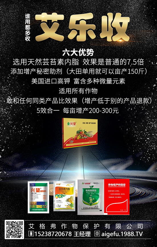 ⛷�С�������҂�һ����(l��i)������