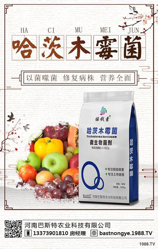 �������鼴������������⛷ʃr�������A(y��)�y2019-12-20