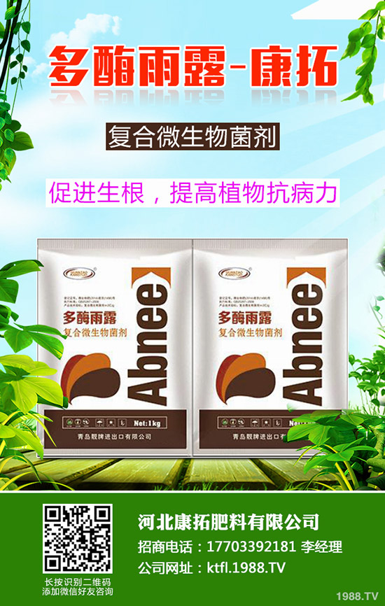 ����ÿ�������X��2019-12-20���ո������؃r(ji��)���߄�(sh��)����