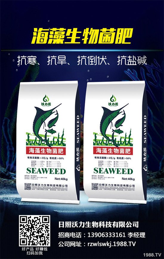 �G��ʲô�r��Nֲ���G��Nֲ�r�g���Nֲ����