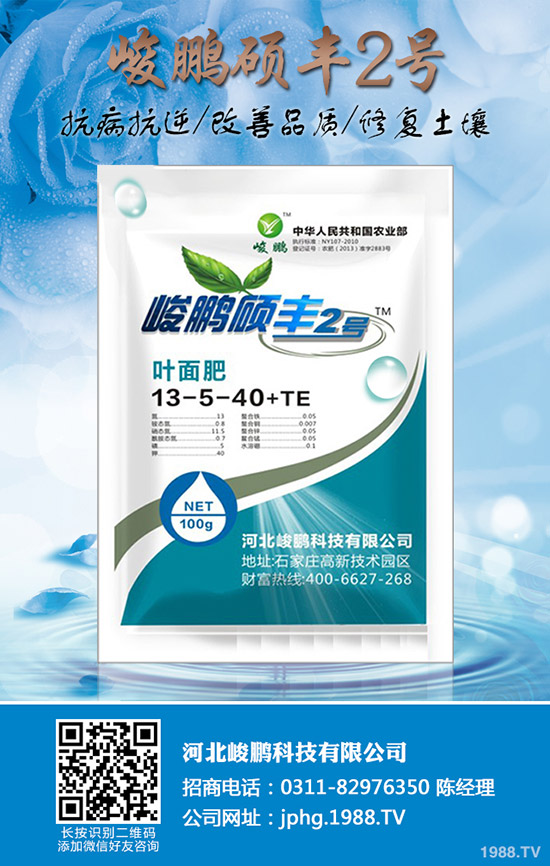 ����ʲô�r��׷��������׷��ע��Ҫ�c��