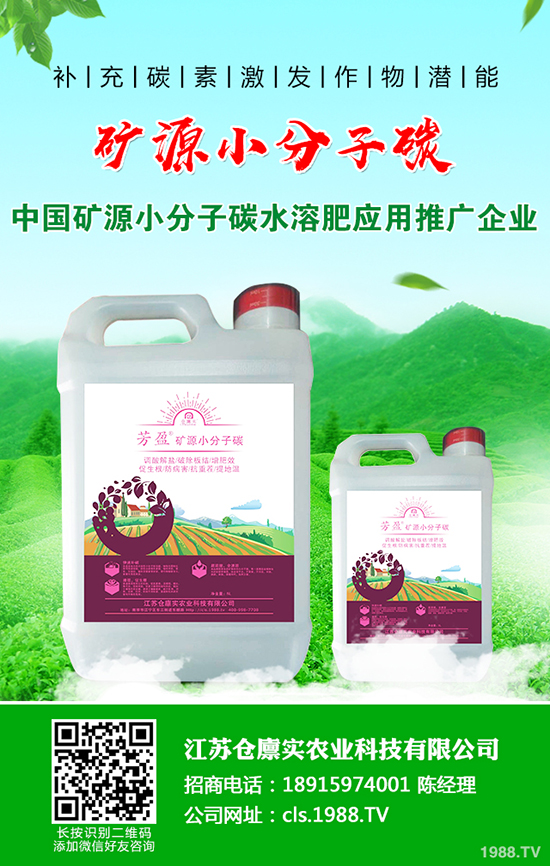 ����������m(x��)����(sh��)��2019-12-21�����������؃r(ji��)�����(b��o)