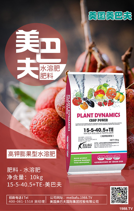     2020Ԫ�����������@����(ch��)���o��������һ�@�����(b��o)�r(ji��)��