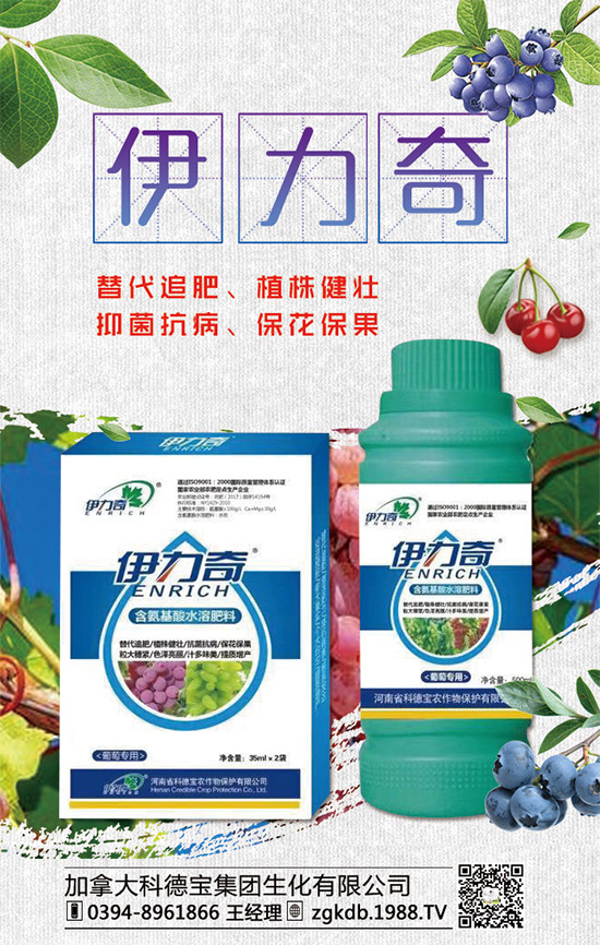     �R�����P(gu��n)�����@�����Ƿ��ϸ���2020����@�r�������߄��A(y��)�y��