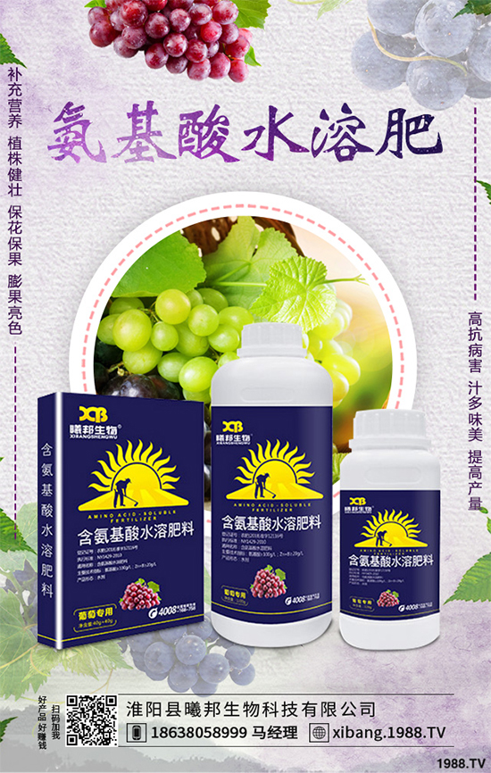 ����Nֲʲô��ٍ�X��2020���ߴ�ٍ�X�Nֲ�(xi��ng)Ŀ�������������