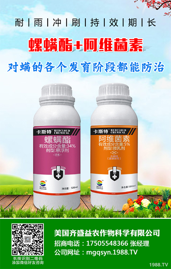 ؐ˹���M���Y���K����3.63�|Ԫ ���ڶ������`�������x���µ�ϵ�Юa(ch��n)Ʒ�Ŀ�Č�ʩ