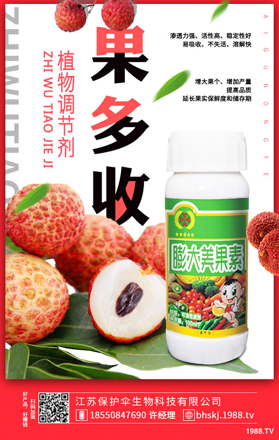 大蒜更新價(jià)格多少錢(qián)一斤？2020年大蒜種植前景如何？