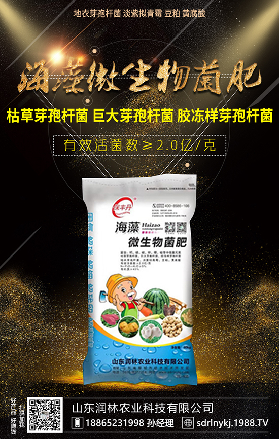 冬季大白菜比較火熱,但是怎樣施肥管理呢?