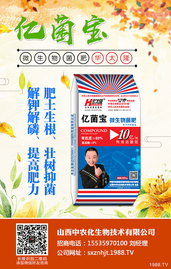     二銨價格仍存小幅下滑空間？2019年12月底磷酸二銨行情分析！