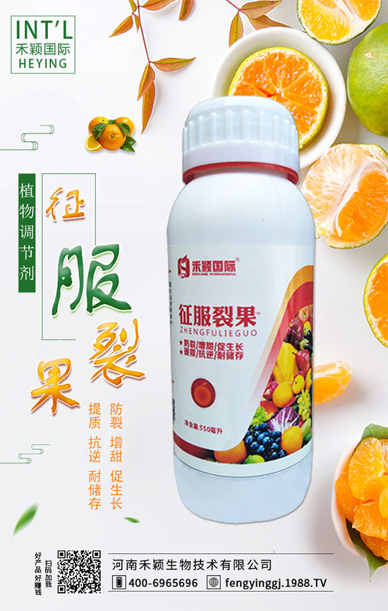 木耳菜什么時(shí)間種植?木耳菜種植方法!