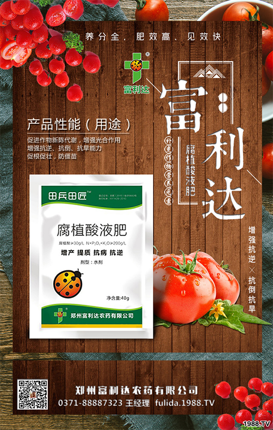 �Nֲʲôˎ����ٍ�X��2020����ˎ�ķNֲǰ������