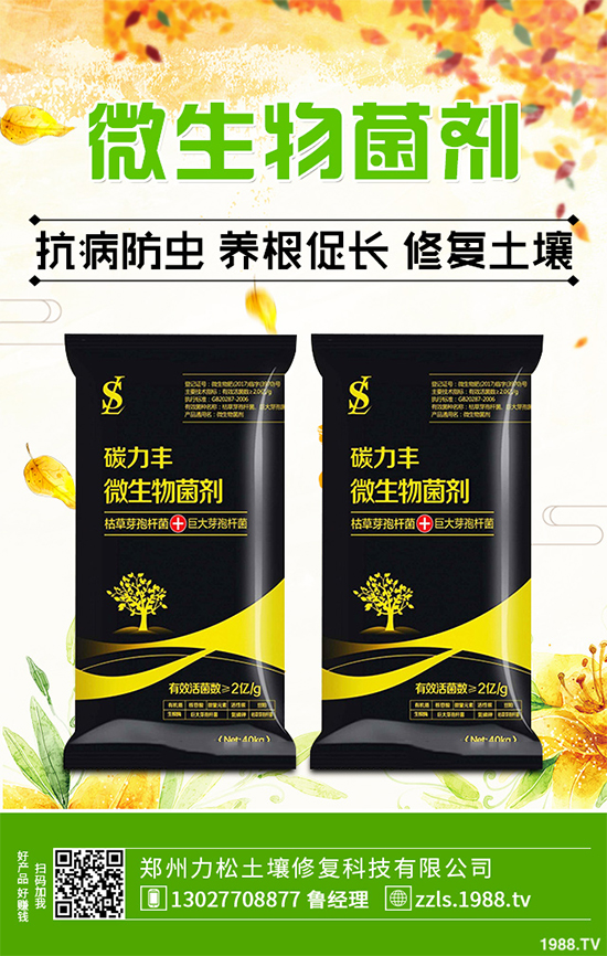 �Nֲʲôˎ����ٍ�X��2020����ˎ�ķNֲǰ������