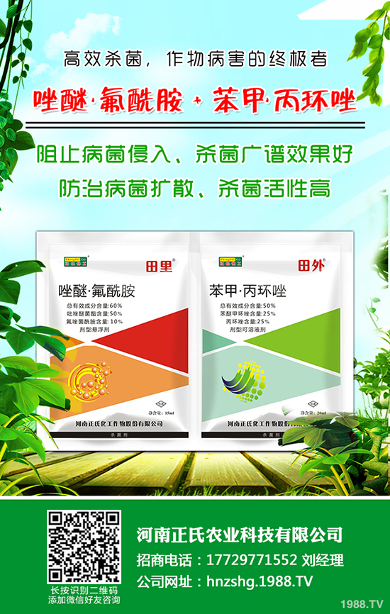 西梅種植的氣候條件,西梅種植的方法!