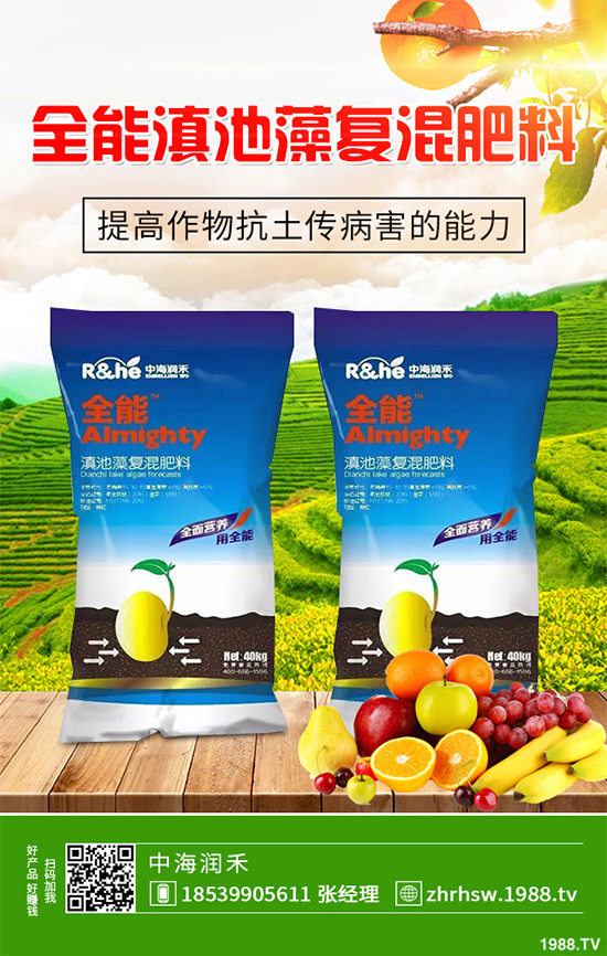 ���r����͸���������Щ�^(q��)�e���ǂ�Ч��������