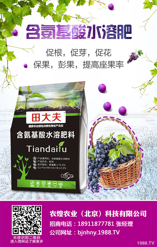 ��ѩ�^(gu��)�����߲˴�����֪��ԓ��ô����᣿