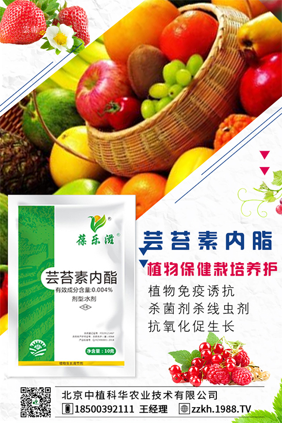 彩椒什么時間種植？彩椒的高產(chǎn)種植方法！