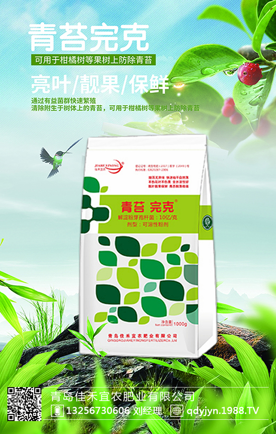 8�N���ϡ����ƈF(tu��n)�����ۂ������^�׷N����