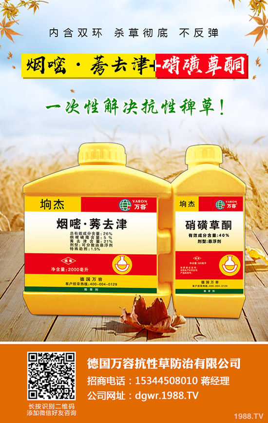 李子苗種植的季節(jié),李子高產(chǎn)種植要點!