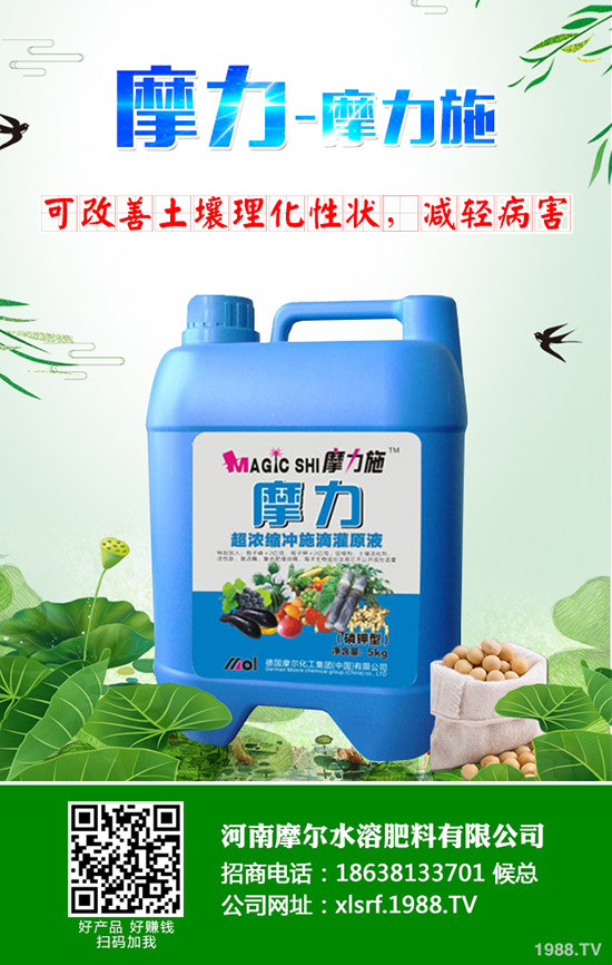 �����ʲô���Ϻ������ʩ�ʼ��g(sh��)����Щ��