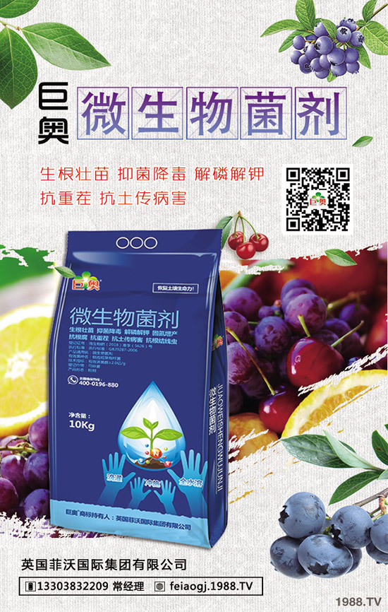 2019��8��22�ս��Շ���(n��i)���؃r�������߄��A�y�C���u��