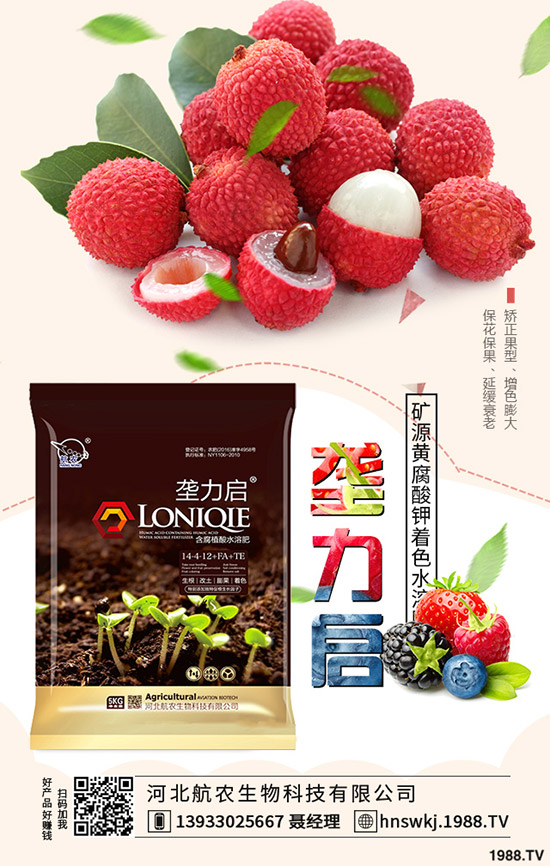 2019��8��22�ս��Շ���(n��i)���؃r�������߄��A(y��)�y�C���u��